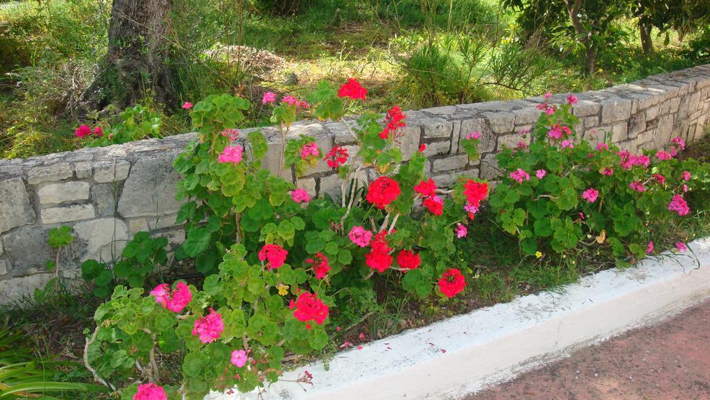 Calamon Apartments Episkopi  Ngoại thất bức ảnh