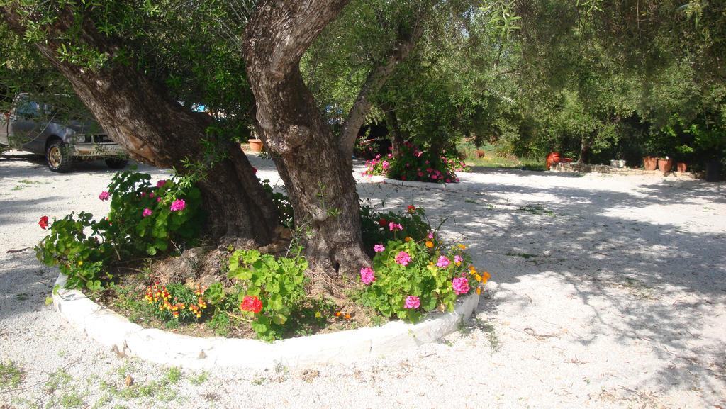 Calamon Apartments Episkopi  Ngoại thất bức ảnh